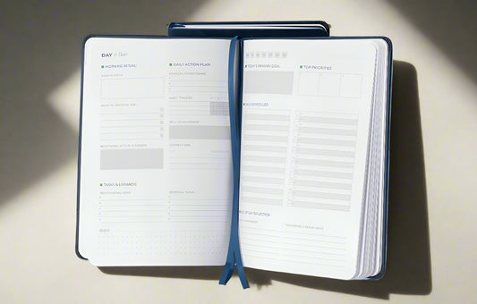 PicklePro Planner – Your 90-Day Roadmap to Success
